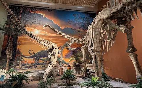 New Mexico Museum of Natural History and Science image