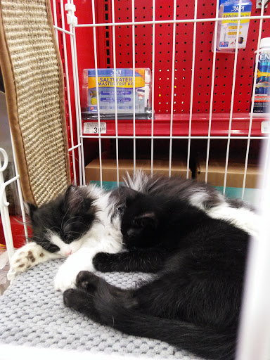 Pet Supply Store «Petco Animal Supplies», reviews and photos, 14051 Aldrich Ave S, Burnsville, MN 55337, USA