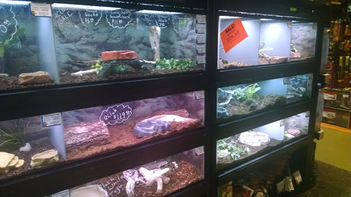 Pet Store «All Pets Club», reviews and photos, 1167 N Colony Rd, Wallingford, CT 06492, USA