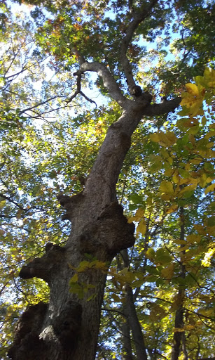 Water Park «Deep River Waterpark», reviews and photos, 9001 E Lincoln Hwy, Crown Point, IN 46307, USA