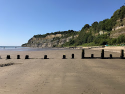Photo de Shanklin Beach,Luccombe End avec un niveau de propreté de très propre