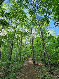 Elachee Nature Science Center - Photo 4 - Car repair in Gainesville, GA, Gainesville