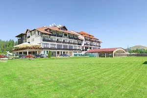 Hotel Olimp Zlatibor image