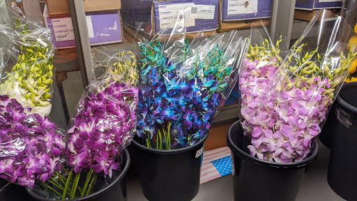 Florist «Dillon Floral Corporation», reviews and photos, 933 Columbia Blvd, Bloomsburg, PA 17815, USA