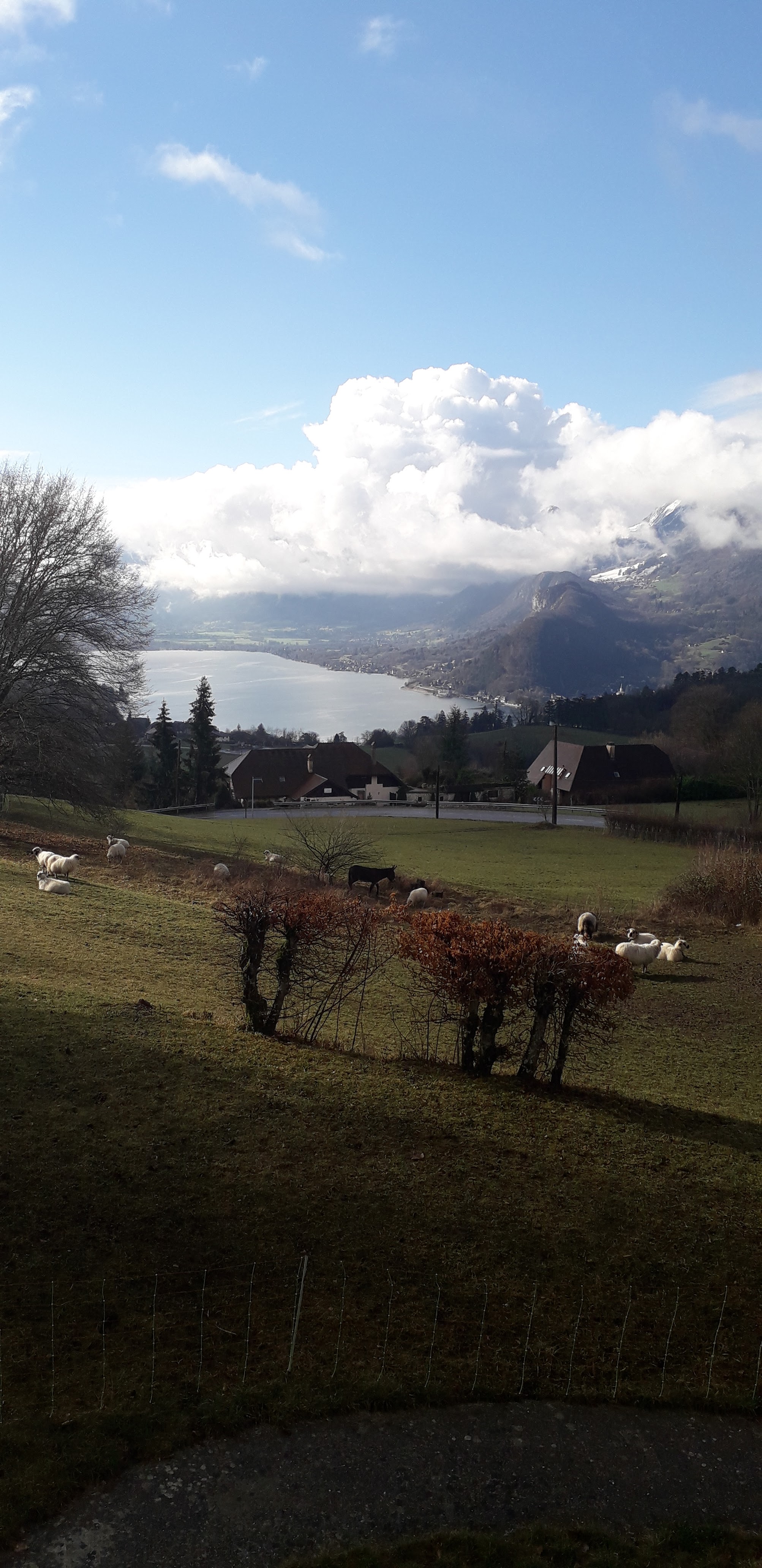 Photo n° 1 de l'avis de Laëtitia.A fait le 18/03/2019 à 11:39