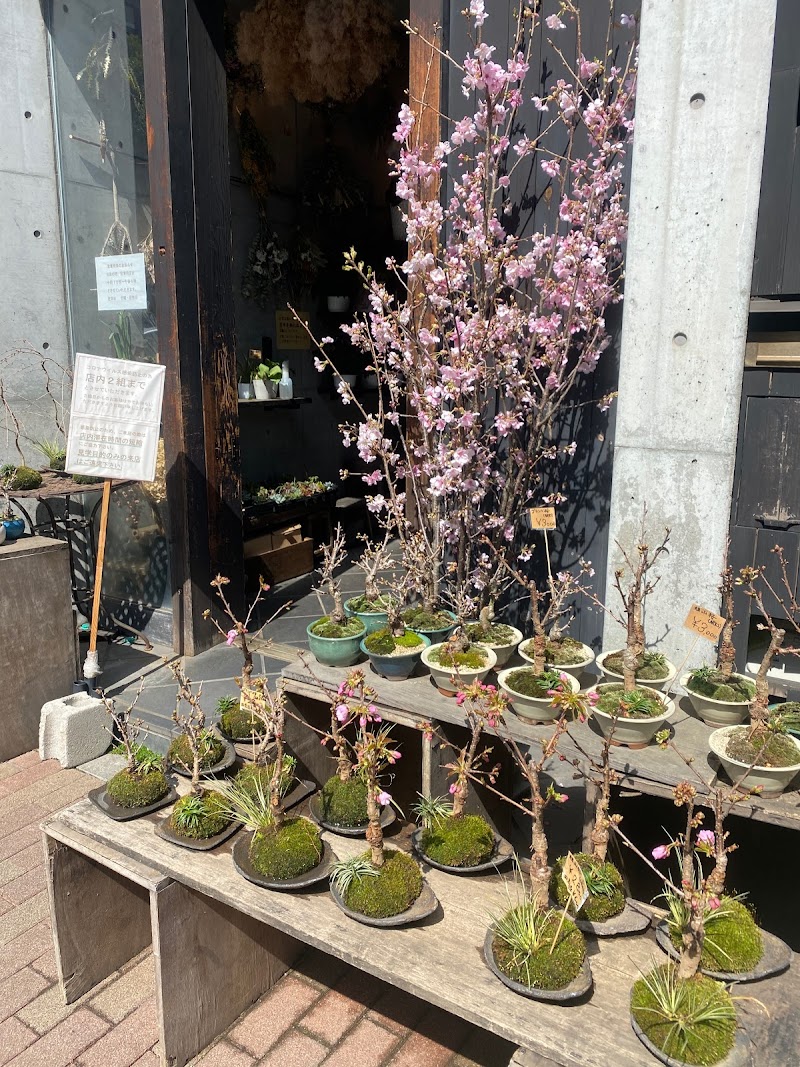 花辻 東京都墨田区吾妻橋 花屋 グルコミ