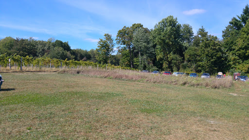 Vineyard «Black Birch Vineyard/ Black Birch Winery», reviews and photos, 108-109 Straits Rd, Hatfield, MA 01066, USA