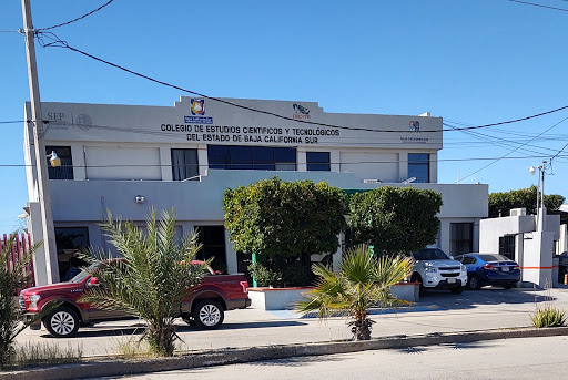 Colegio de Estudios Científicos y Tecnológicos del Estado de Baja California Sur CECYTE