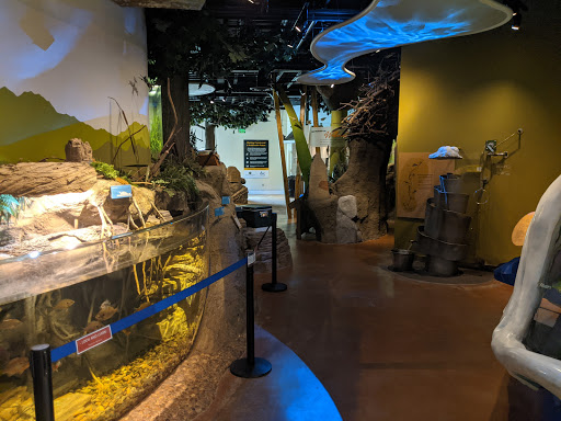 Nature Preserve «Chattahoochee Nature Center», reviews and photos, 9135 Willeo Rd, Roswell, GA 30075, USA