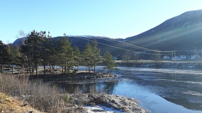 Photos of YX Tonstad