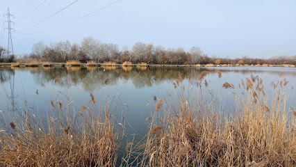 Palotavárosi Felső-tó
