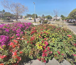 Literatura Garden photo