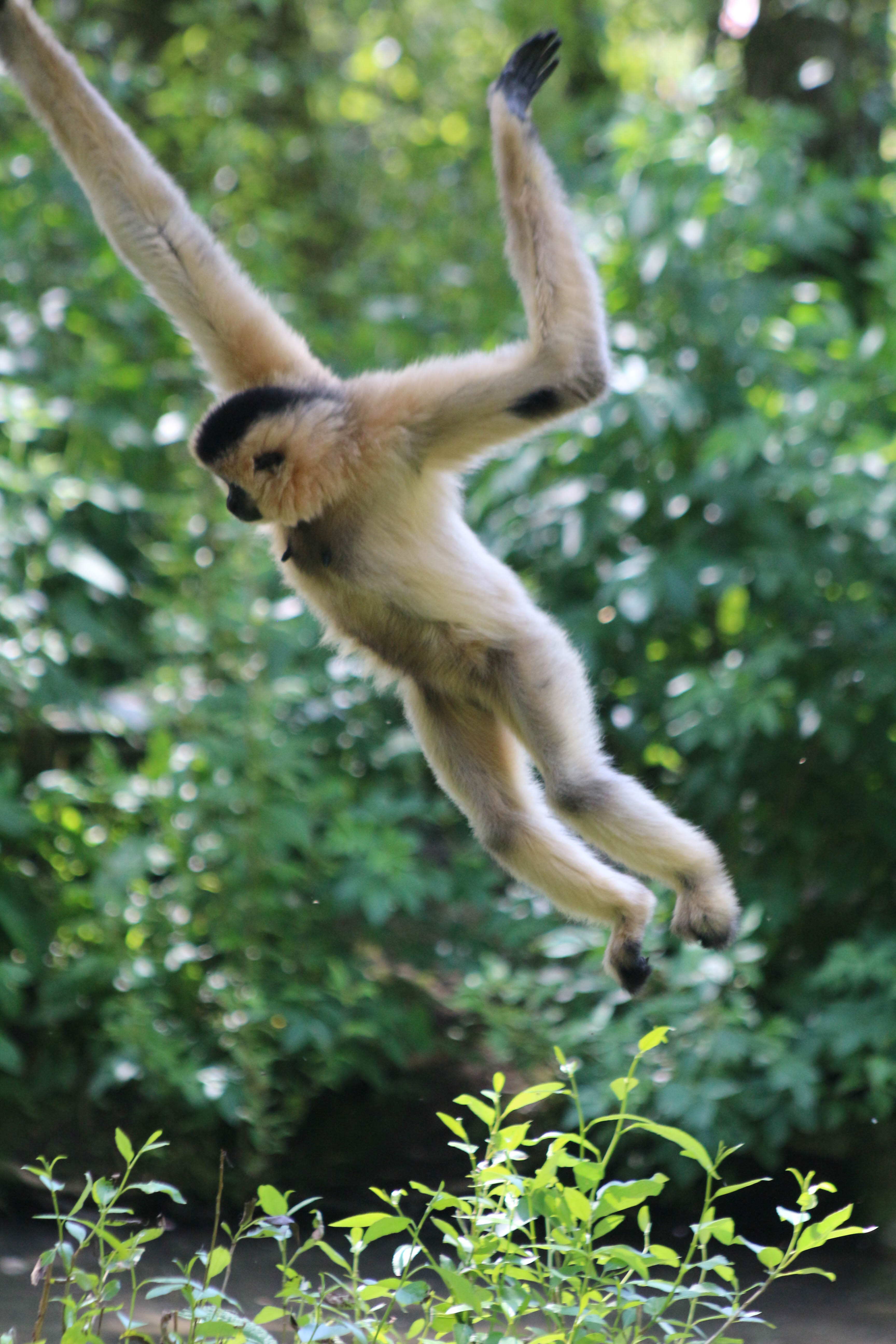 Photo n° 12 de l'avis de Laurent. fait le 05/08/2022 à 12:06