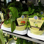 Photo n°2 de l'avis de Carsten.u fait le 25/05/2019 à 07:55 sur le  Gartencenter Rosengut Langerwisch GmbH&Co.KG à Michendorf