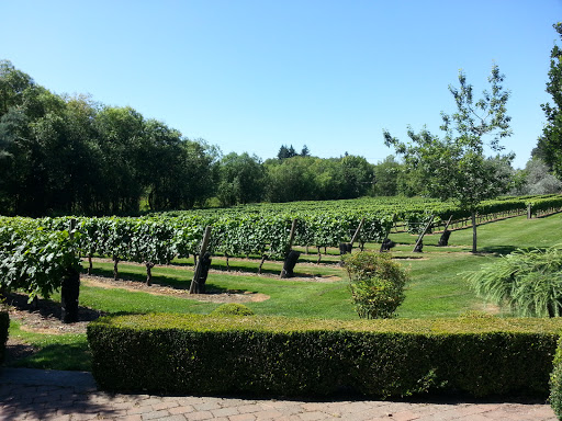 Winery «Bethany Vineyard & Winery», reviews and photos, 4115 NE 259th St, Ridgefield, WA 98642, USA