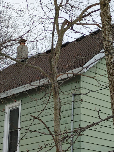 Roofing Contractor «Streamline Enterprises Inc», reviews and photos