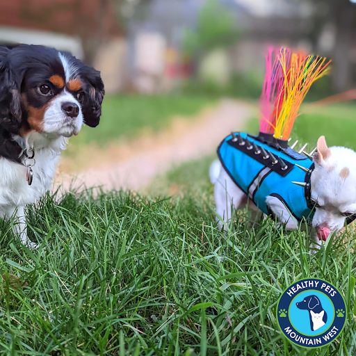 Pet Store «Healthy Pets Mountain West», reviews and photos, 2352 Fort Union Blvd, Cottonwood Heights, UT 84121, USA