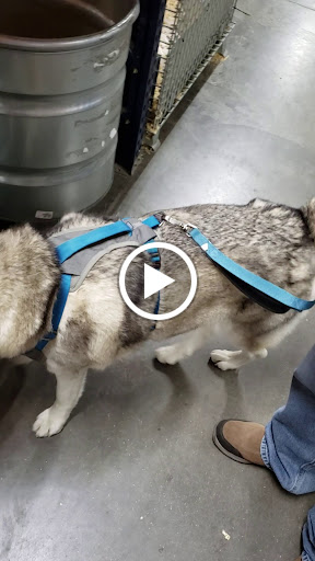 Department Store «Rural King», reviews and photos, 1920 Lube Way, Jasper, IN 47546, USA