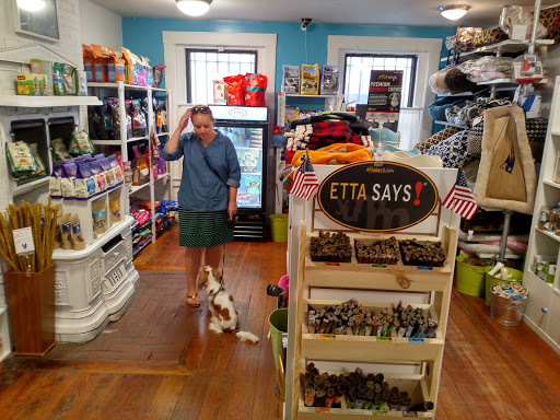 Pet Store «Pawsh Dog Boutique», reviews and photos, 31 Gloucester St, Boston, MA 02115, USA