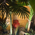 Photo n° 6 de l'avis de Belinda.o fait le 25/09/2023 à 11:27 pour Tropical Spa: Love Room Hauts de France, Love Room avec spa et sauna, nuit en amoureux, week-end romantique, Nord à Provin