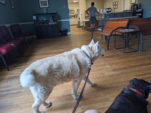 Heart of Georgia Animal Care image