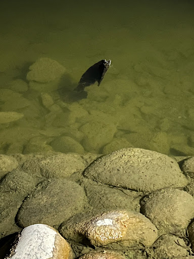 Park «Granada Park», reviews and photos, 6505 N 20th St, Phoenix, AZ 85016, USA