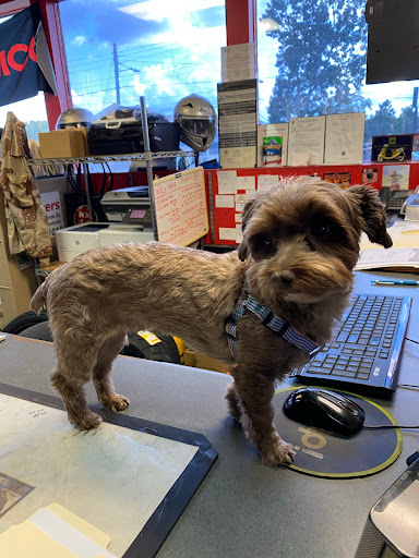 Motorcycle Dealer «All About Scooters», reviews and photos, 2045 N Monroe St, Tallahassee, FL 32303, USA