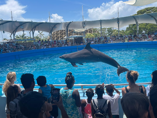 Travel Agency «Go Miami Card at Miami Beach Visitor Center», reviews and photos, 1920 Meridian Ave, Miami Beach, FL 33139, USA