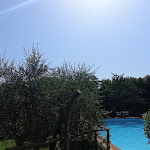 Photo n°4 de l'avis de Luca.e fait le 22/07/2023 à 10:36 sur le  Hotel Colle Etrusco Salivolpi à Castellina in Chianti