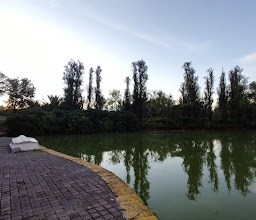 Ajolotario Parque Tezozómoc photo