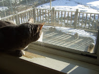 Pets Are Inn - South & SW Metro - Photo 7 - Car repair in Edina, MN, Minneapolis