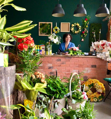 Moje Kwiatki Kwiaciarnia i Pracownia Florystyczna - Olsztyn