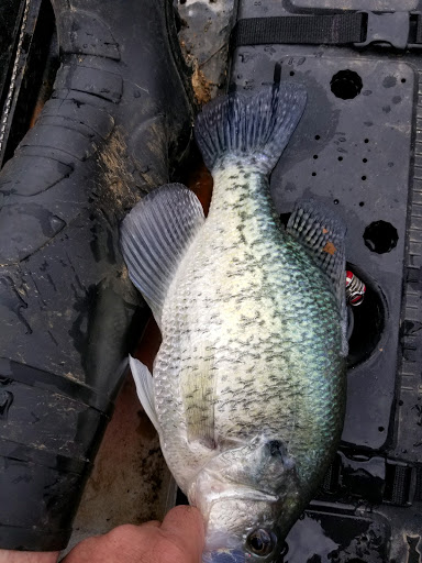 Vacation Home Rental Agency «Fish Island», reviews and photos, 3535 Blue Spring Rd, Cadiz, KY 42211, USA