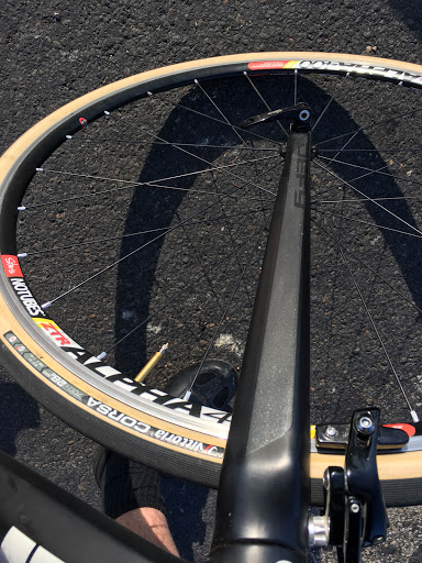 Bicycle Store «Sprockets Bicycle Shop», reviews and photos, 231 W Hickory St, Denton, TX 76201, USA