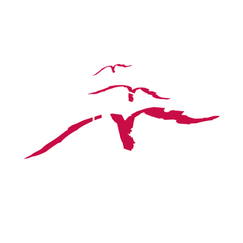 Momentum Photography - <nil>