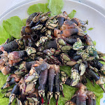 Photo n°1 de l'avis de Adele. fait le 30/12/2022 à 13:16 sur le  Baía do Peixe - Praça do Comércio à Lisbon