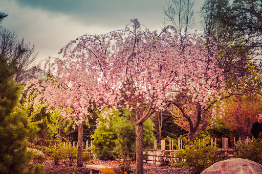 Botanical Garden «Frederik Meijer Gardens», reviews and photos, 1000 E Beltline Ave NE, Grand Rapids, MI 49525, USA