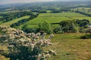 Y Graig North Wales Wildlife Trust nature reserve image