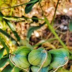 Photo n°3 de l'avis de lucia.a fait le 17/09/2021 à 12:40 sur le  L'angolo dello sfizio à Sapri