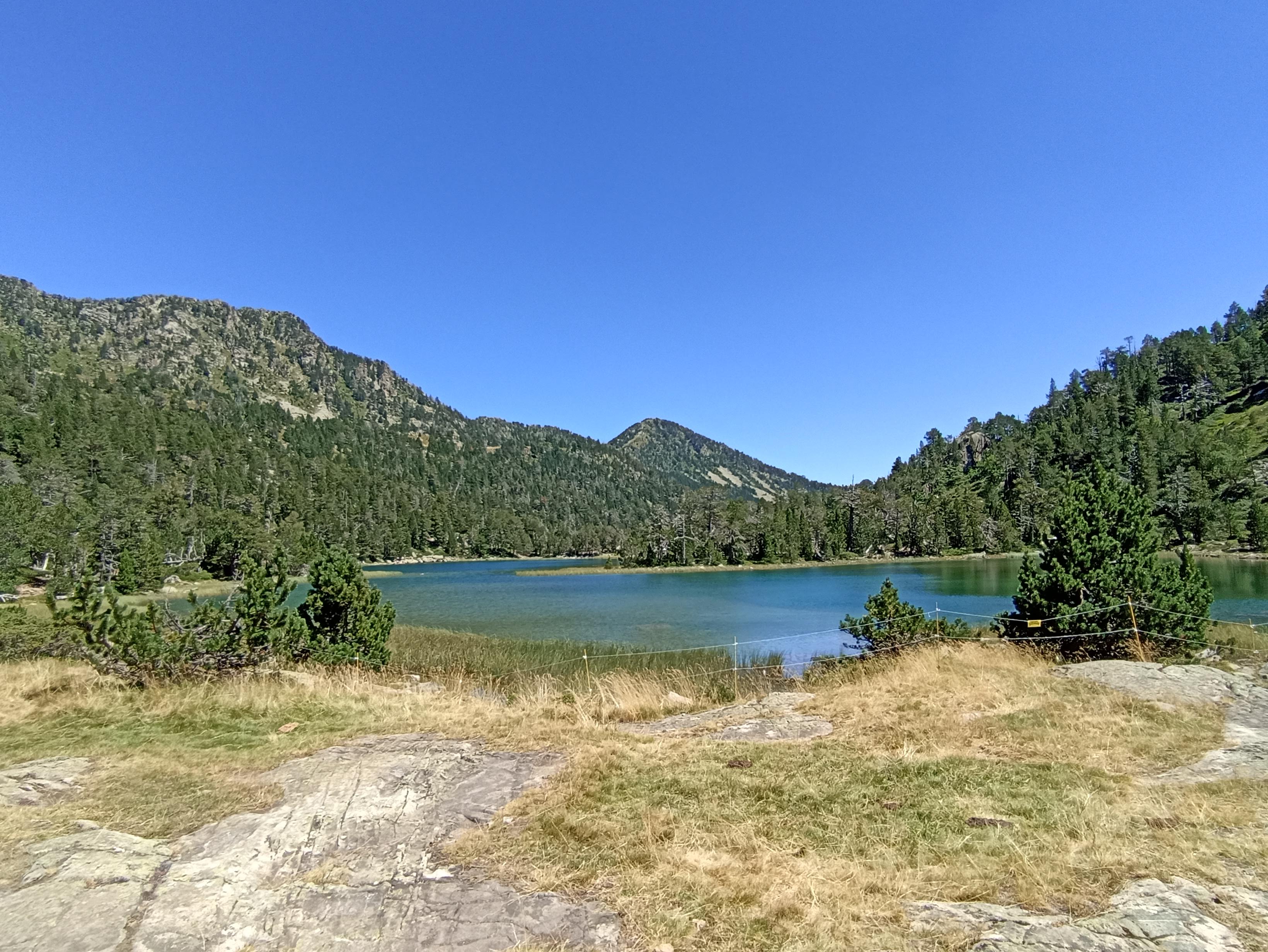 Photo n° 7 de l'avis de FIS.� fait le 15/08/2023 à 14:11