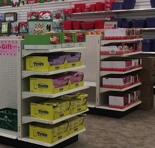 Dollar Store «Dollar Tree», reviews and photos, 21835 Pontiac Trail, South Lyon, MI 48178, USA