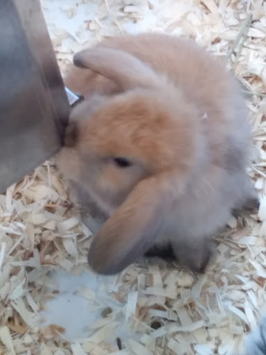 Pet Supply Store «Pet Supermarket, Inc.», reviews and photos, 244 Tunnel Rd, Asheville, NC 28805, USA