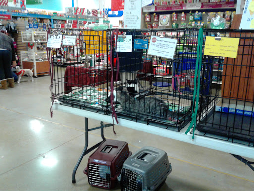 Pet Supply Store «PetSmart», reviews and photos, 20530 E 13 Mile Rd, Roseville, MI 48066, USA