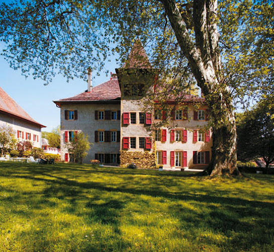 Château d'Eclépens - Museum