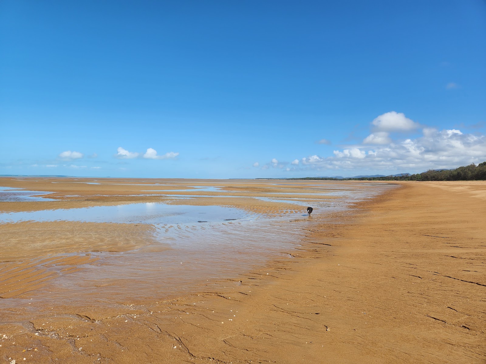 Zdjęcie Carmila Beach z powierzchnią jasny piasek