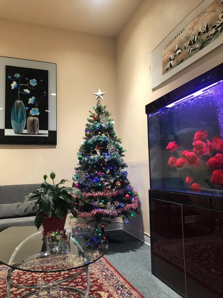 Platinum Spa Massage 91750