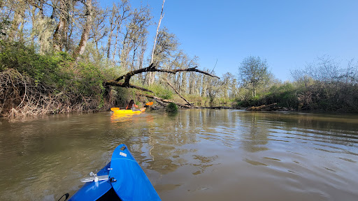 Coyote Creek Canoe Access