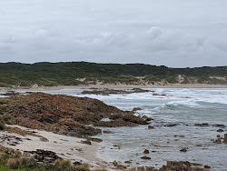 Foto van Lighthouse Beach gelegen in een natuurlijk gebied