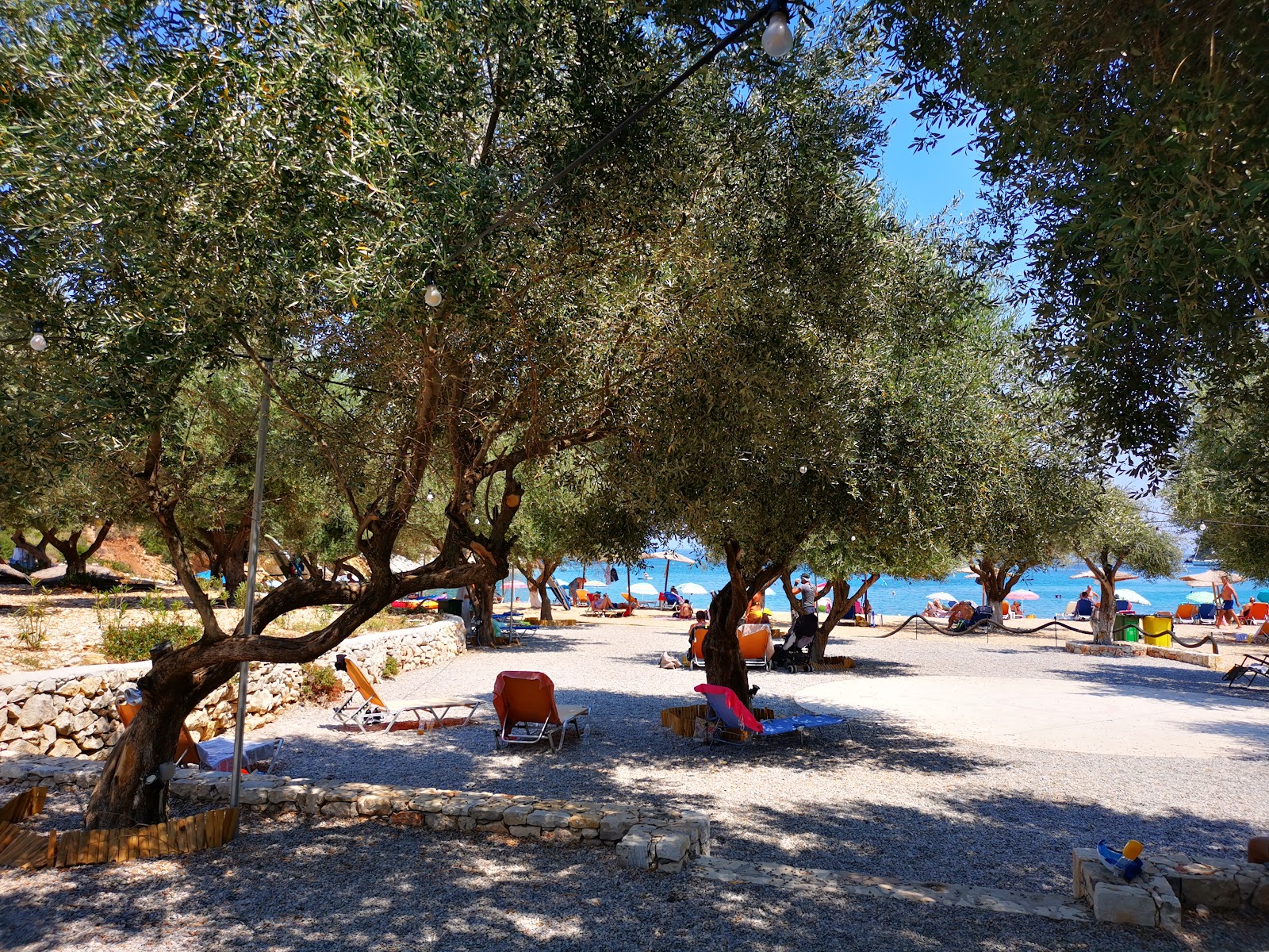 Filiatro Beach'in fotoğrafı imkanlar alanı