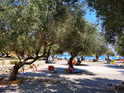 Filiatro Beach'in fotoğrafı imkanlar alanı